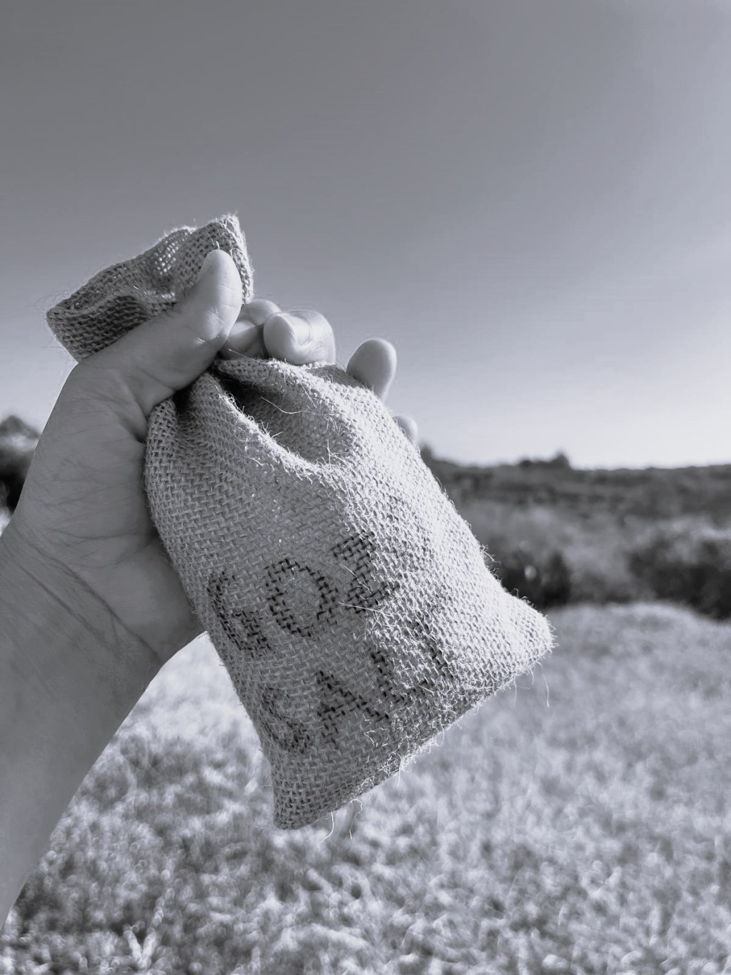 Salt Runs Through&nbsp;Me